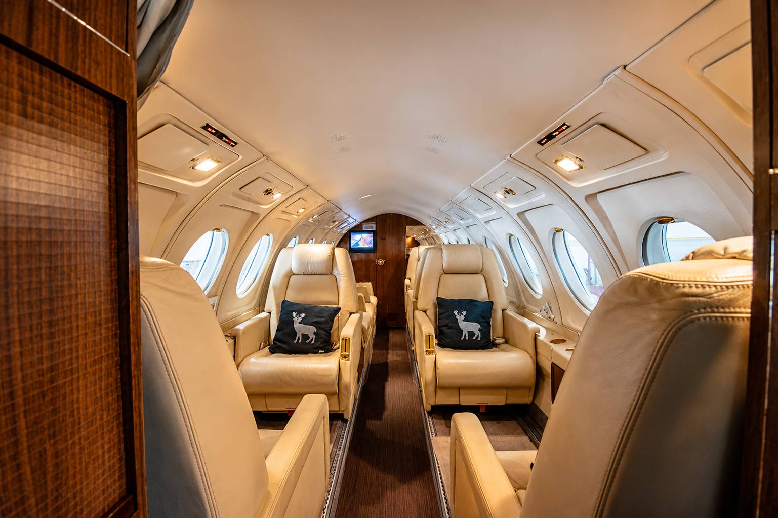 Cream leather and gold interior of a HighLevel UAE jet