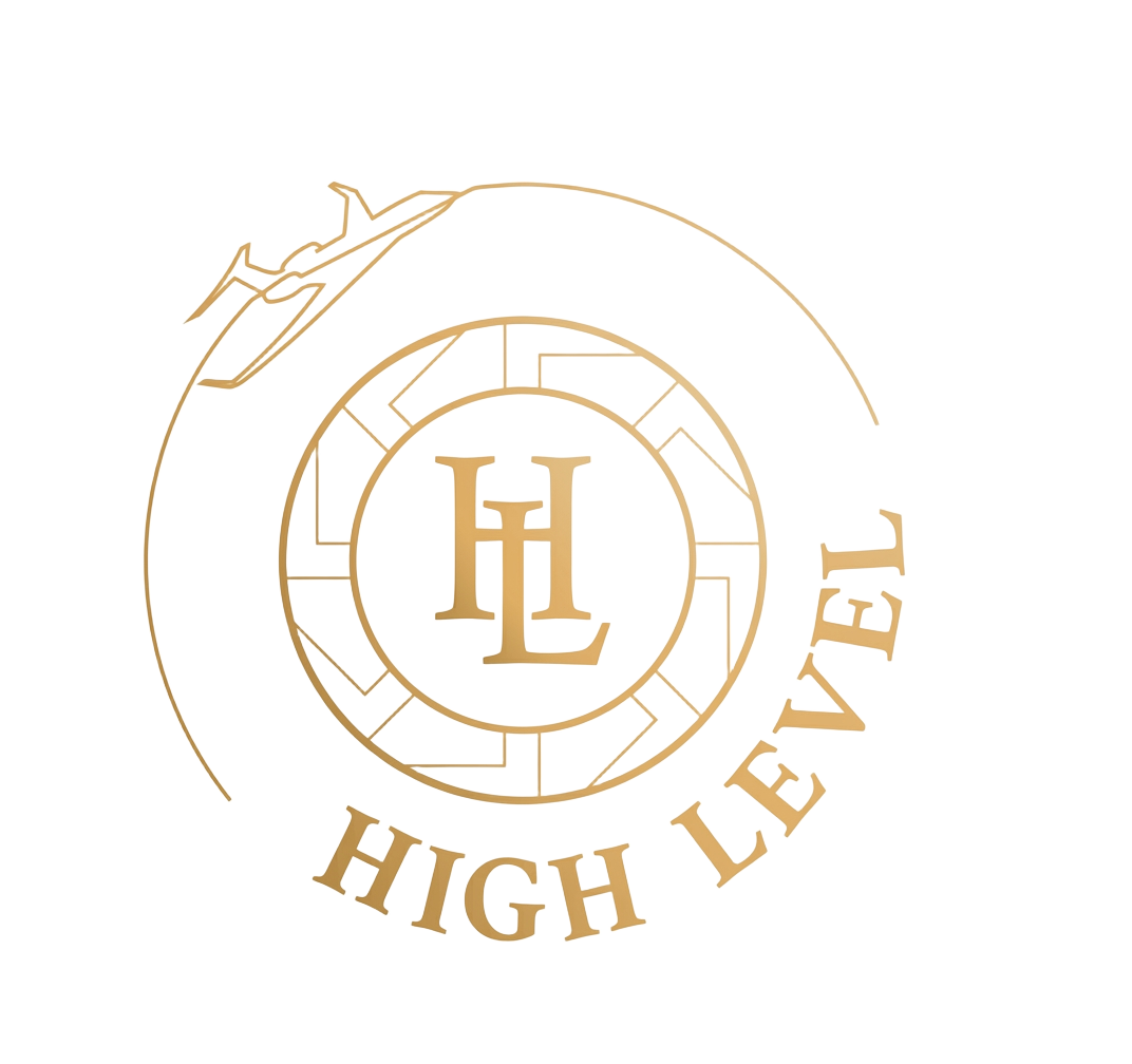HIGH LEVEL Aviation Consultancy
